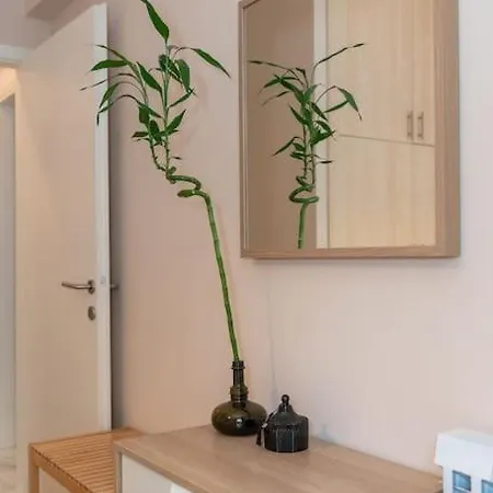 Cozy 1bdrm Apt/walk To The Beach Apartment *