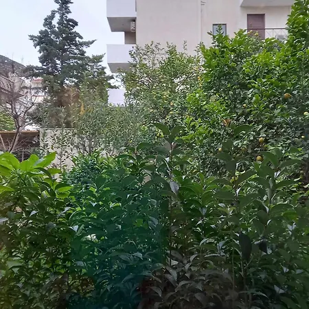 Apartment Citrus Dream *