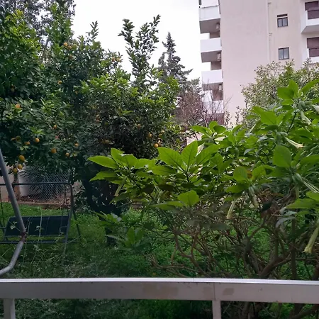 Citrus Dream * Athens