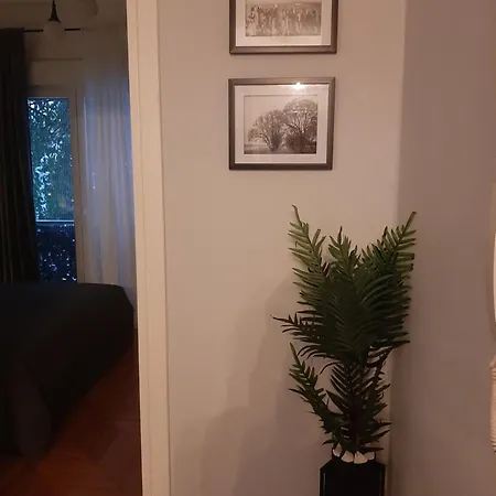 Luxury Close To Metro Apartment *