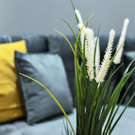 Elegant Dwelling Apartment Athens