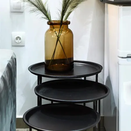 Elegant Dwelling Apartment Athens