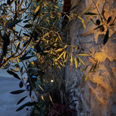 Plaka Vibes *