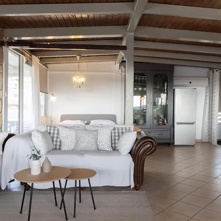 Sunny Loft With A Panoramic View Apartment