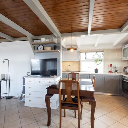 Sunny Loft With A Panoramic View Apartment