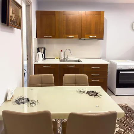 Glamorous & Spacious Renovated Apartment, Syntagma, Dt