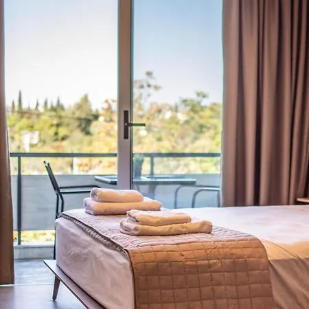 Apartment Acropolis View