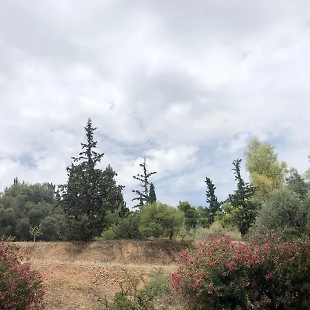 Olive Tree Deluxe Under Acropolis Hillside Apartment Athens
