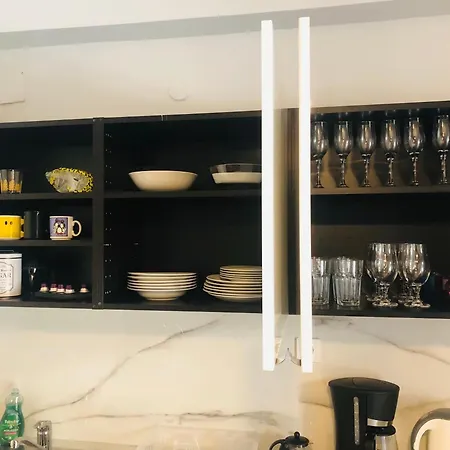 Olive Tree Deluxe 70m From Metro Apartment Athens