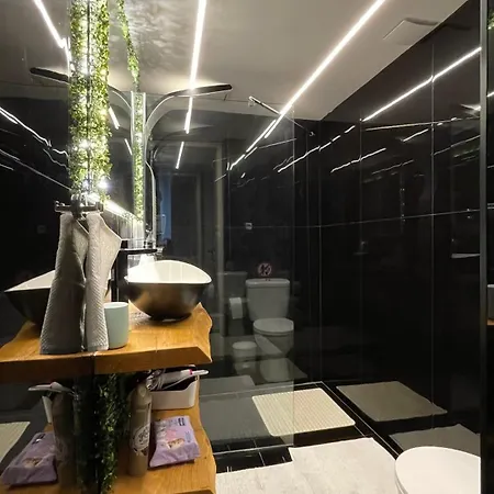 Apartment Alfa Luxury 2