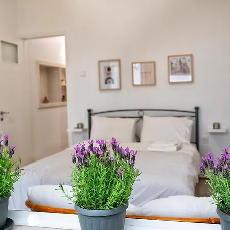 Apartment Lux Garden Near Acropolis In The Heart Of *