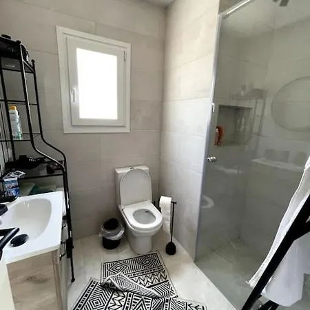 Apartment Luxury Penthouse In Pagrati Athens