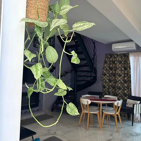 Zen Neapoli Penthouse Maisonette Athens