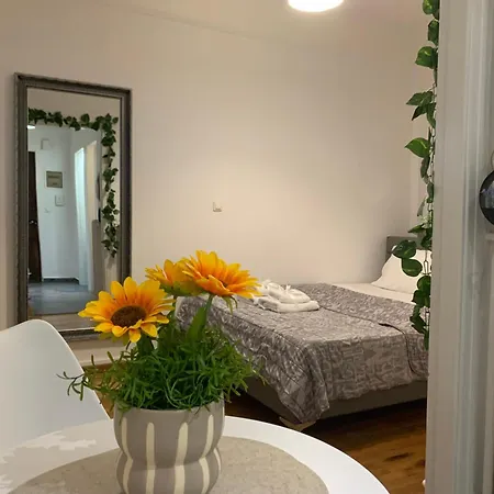 Apartment Charming House In