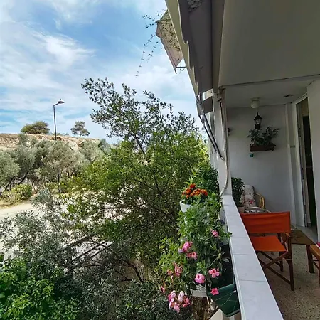Hill View Near Acropolis