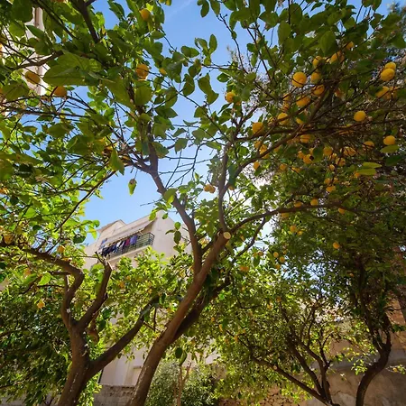 Peaceful Private Vipgreece Διαμέρισμα