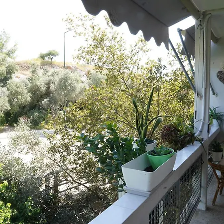 Apartment Hill View Near Acropolis Athens