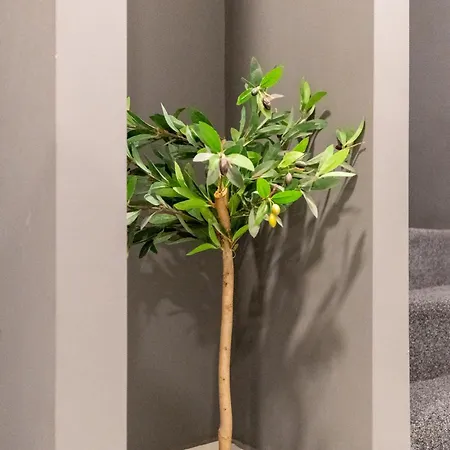 Athenian Boutique Αθήνα