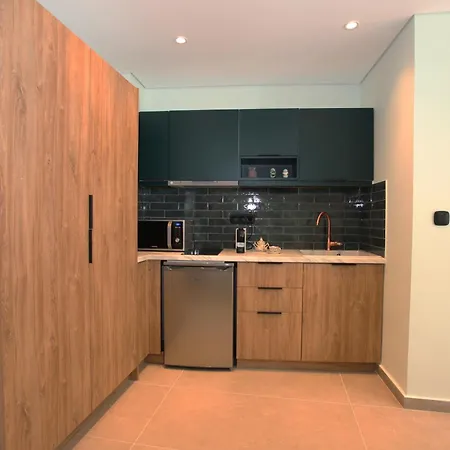 Apartment Ipelhome-avissinias Boutique Athens