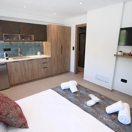 Apartment Ipelhome-avissinias Boutique Athens