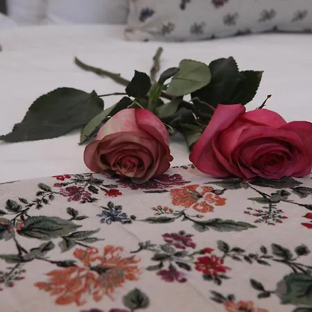 Ipelhome-avissinias Boutique Athens