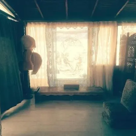 Apartment Nest