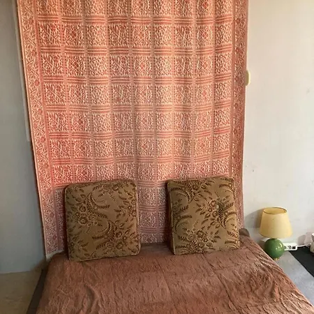 Apartment Nest