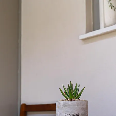 Cutie In Koukaki Apartment Athens