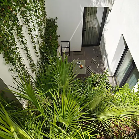 Neoma Athens