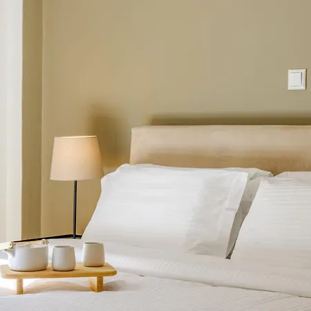 Apartment Stylish Flat Overlooking The Temple Of Zeus Athens