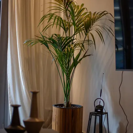 Carmen's Cozy&luxury Apartment! Apartment *