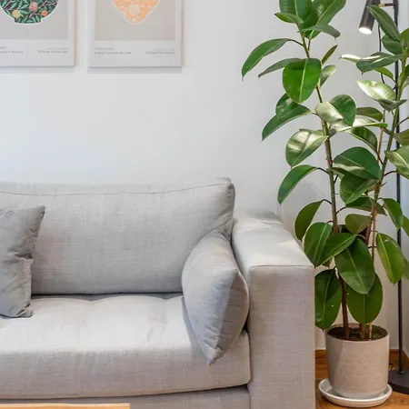 Comfort Oasis: Work-friendly Space W/fiber Net *