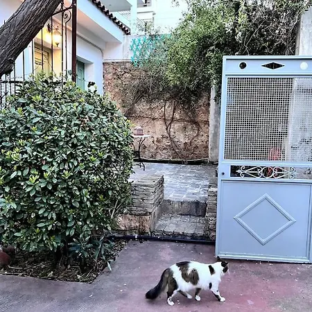 Orpheus Athens