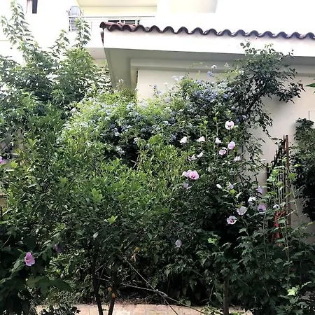Orpheus Holiday home