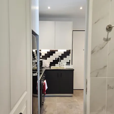 Bachelor Penthouse With Roof Garden Access, 15 M Walk To Acropolis Apartment