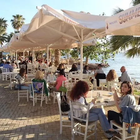 Riviera Garden Recluse, Close To Sea N * Athens