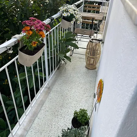 Alex's Next To Laiko Athens