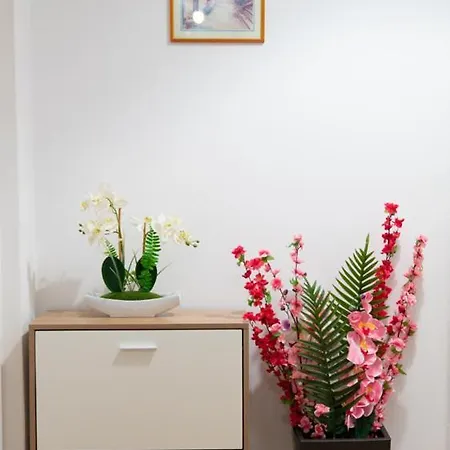 Apartment Cozy In Center *