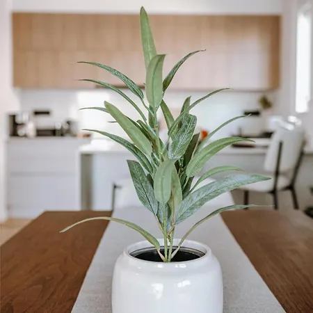 Athenian Riviera Elegant Apartment Athens