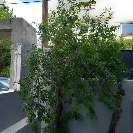 Apartment Maria House *