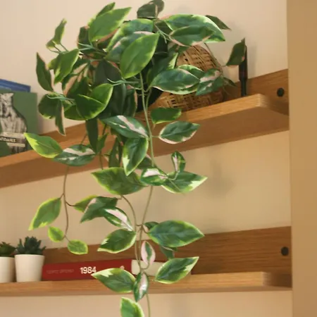 Downtown Loft Apartamento *