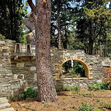 Diocharous Garden Apartment Athens