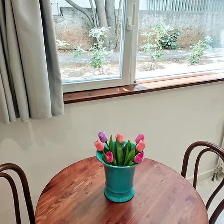Vivo Apartment