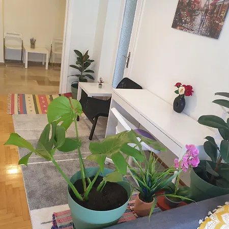 Lavender-ryan Spacious For Live And Work In Heart Of Apartment