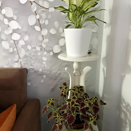 Pnoe D'athenes Apartment