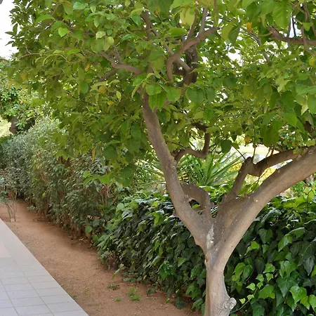 Riviera Garden View Apartment Athens
