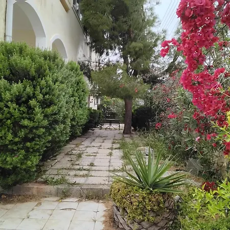 Apartment Peaceful Oasis *