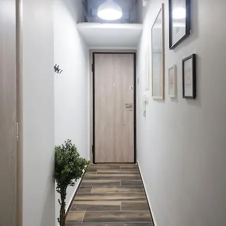 A Comfortable Small Nearby Acropolis 5 * Athens