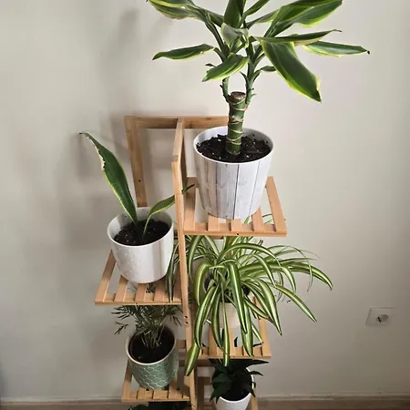 Apartment Welcome To The Jungle Athens