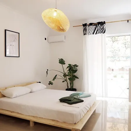 Apartment Zorba Meets Buddha *